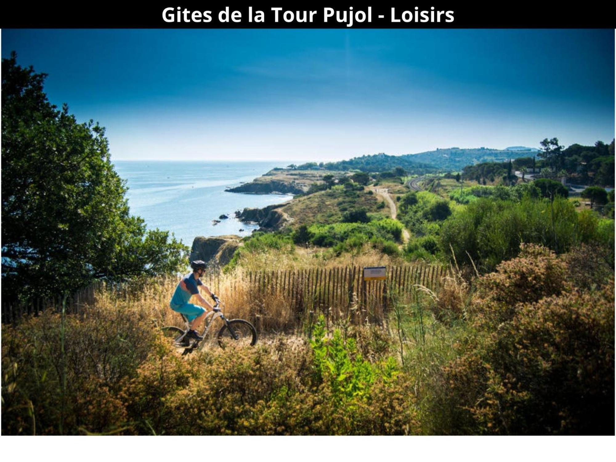 Les Gites De La Tour Pujol Argeles-sur-Mer Bagian luar foto