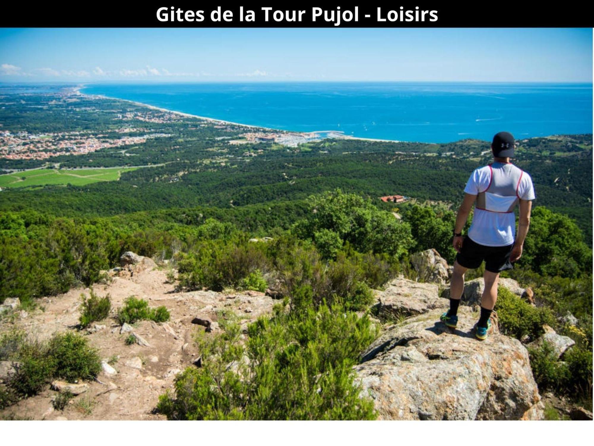 Les Gites De La Tour Pujol Argeles-sur-Mer Bagian luar foto