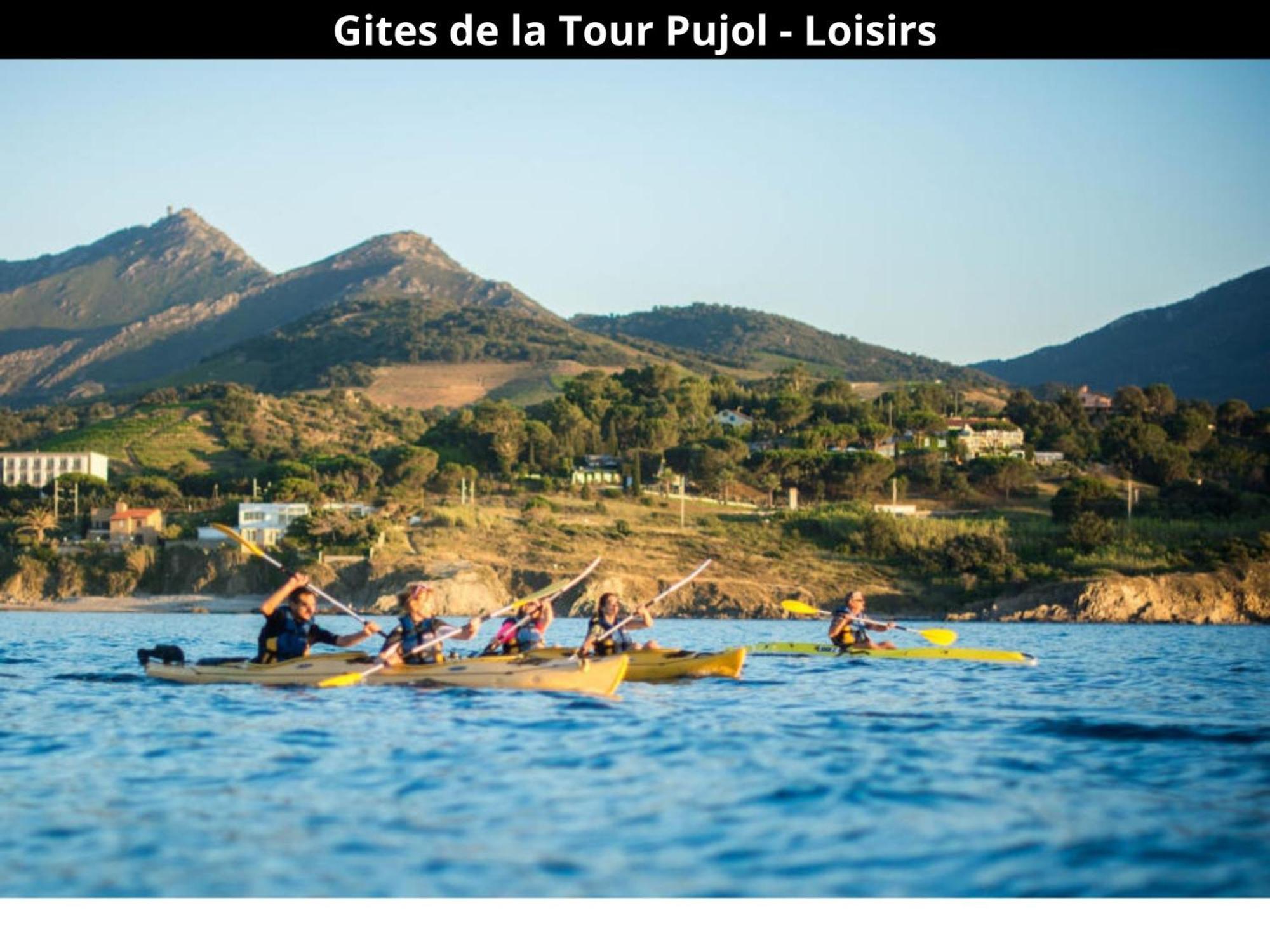 Les Gites De La Tour Pujol Argeles-sur-Mer Bagian luar foto