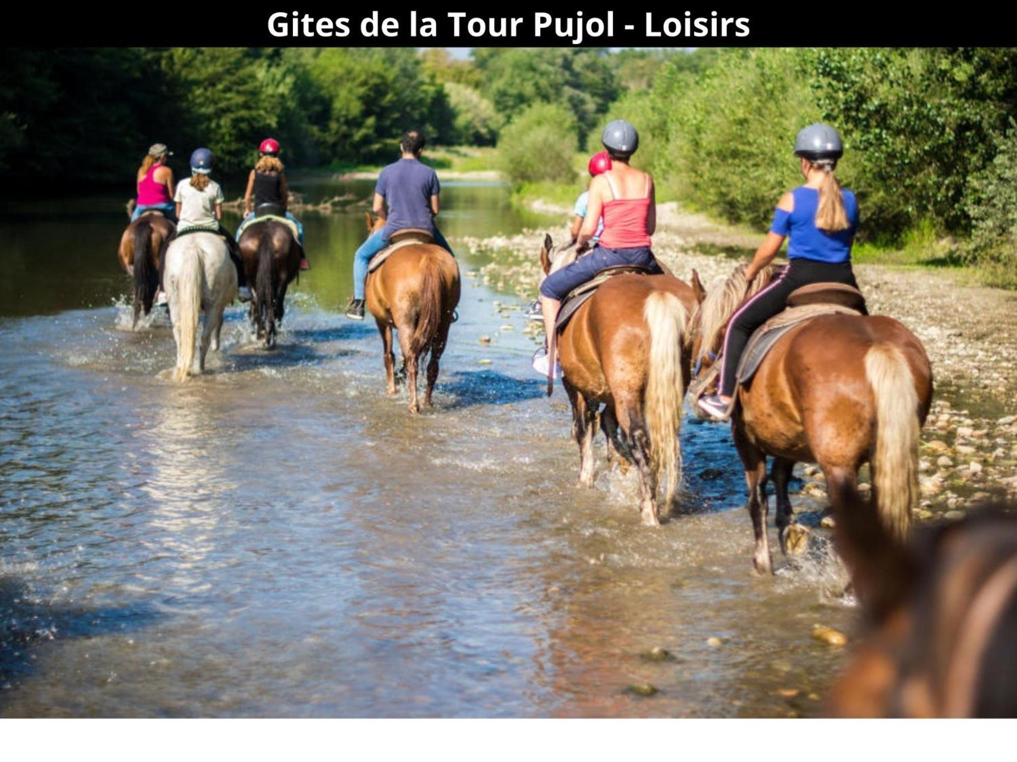 Les Gites De La Tour Pujol Argeles-sur-Mer Bagian luar foto