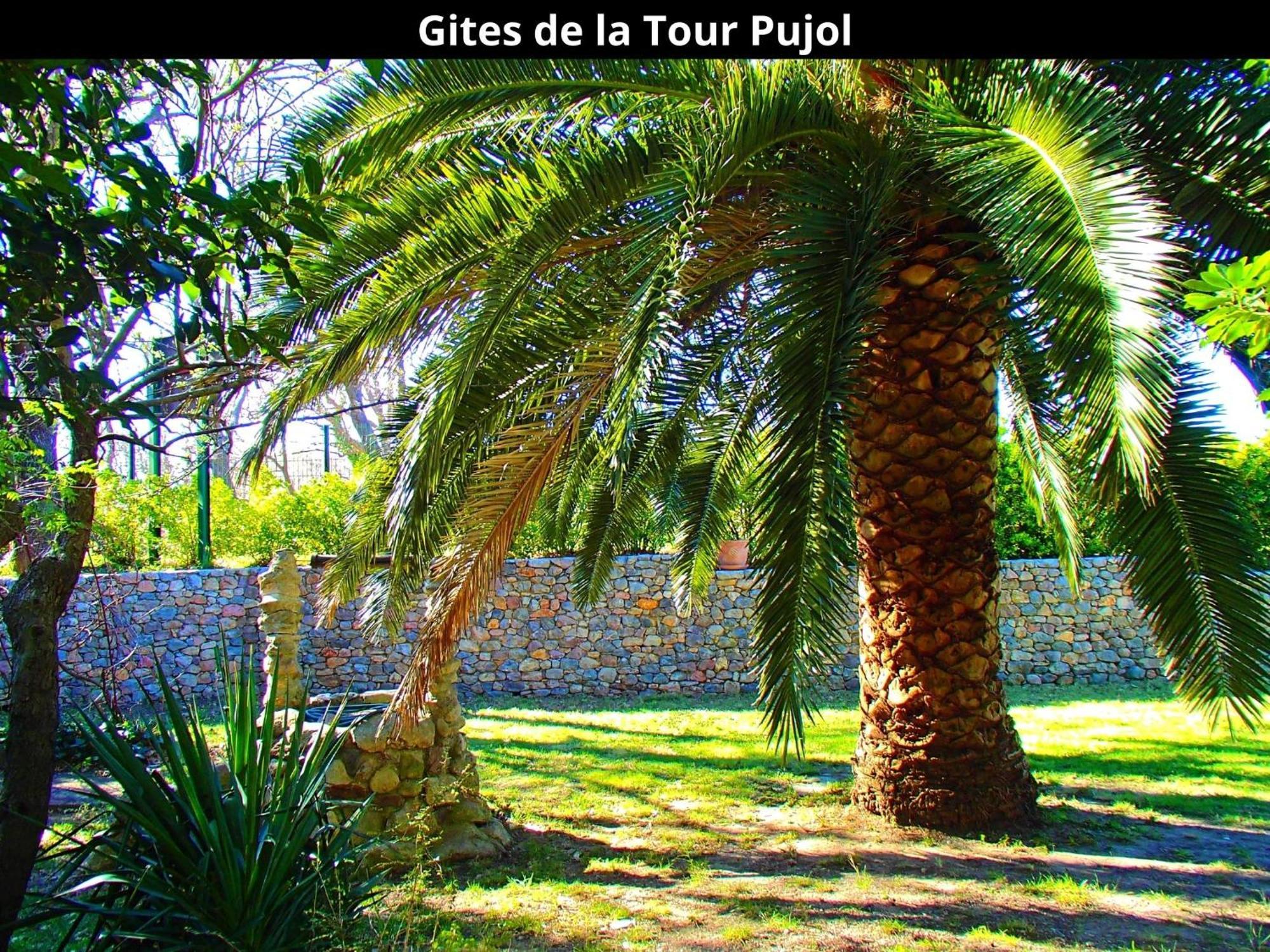 Les Gites De La Tour Pujol Argeles-sur-Mer Bagian luar foto